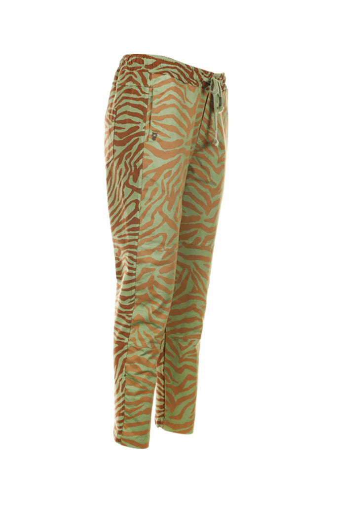 Funky Staff You2 Zebra Pants in Opal - Arielle Clothing